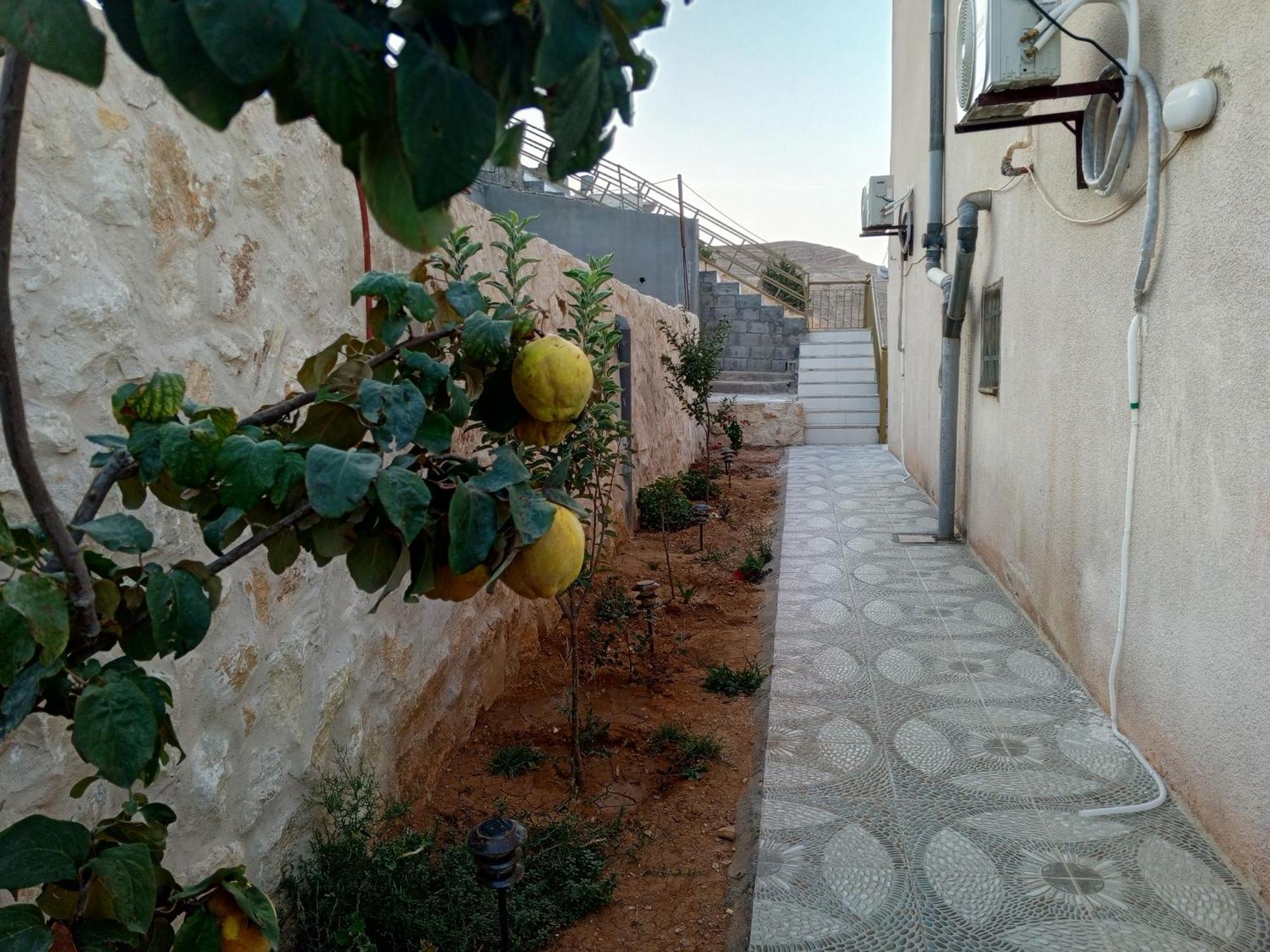Petra Inn House Wadi Musa Extérieur photo